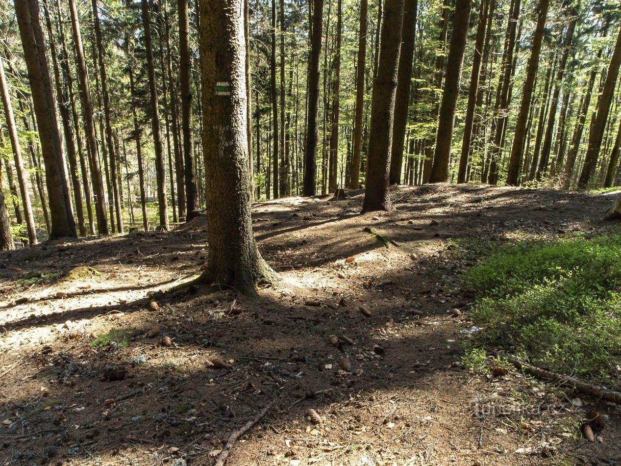 Čečel – an intact partisan bunker