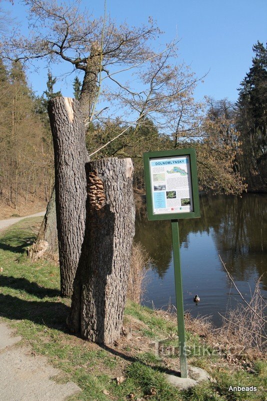 znakovi i drveće uz jezerce