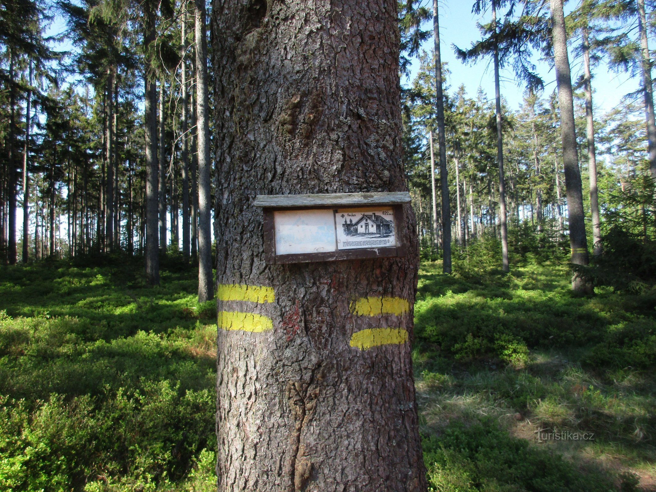 ein Schild an einem Baum mit einer Zeichnung eines Schuppens