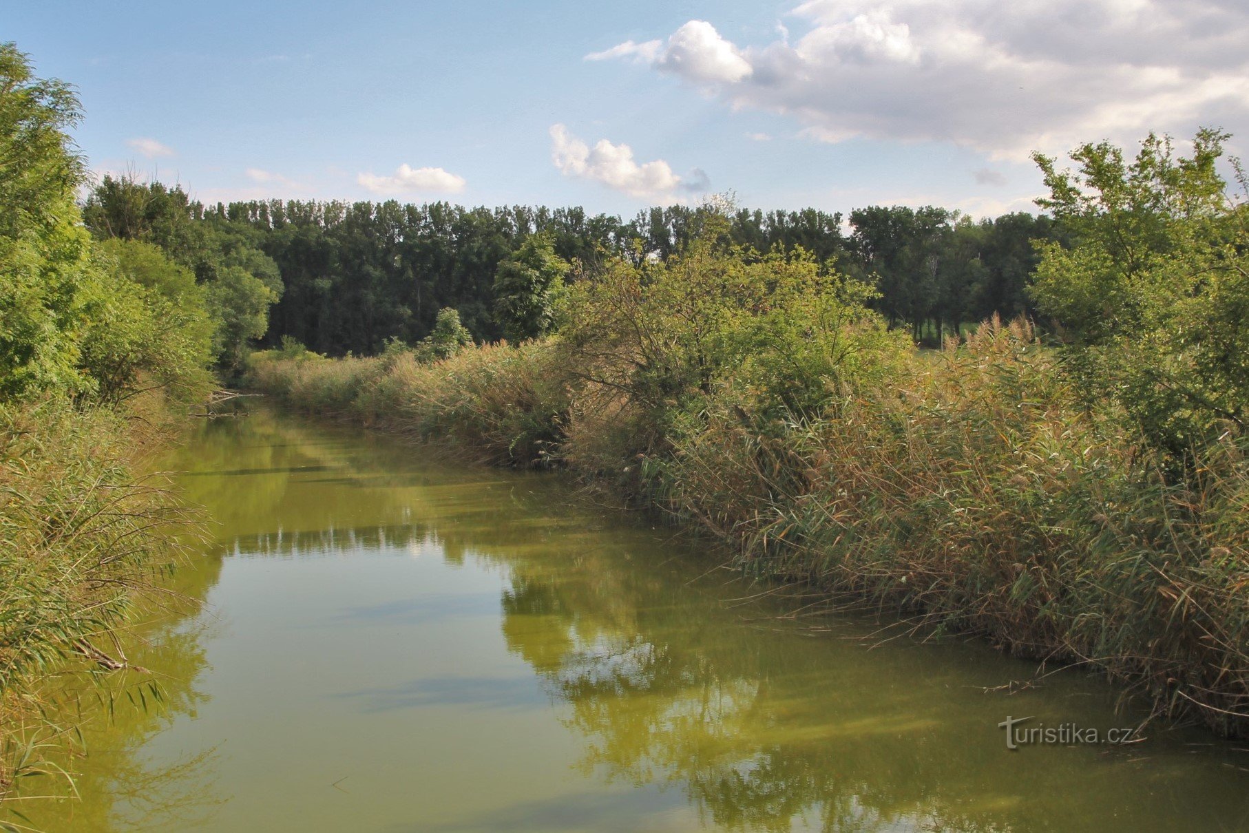 Tegenwoordig draineert de Čejčský-stroom het voormalige meer