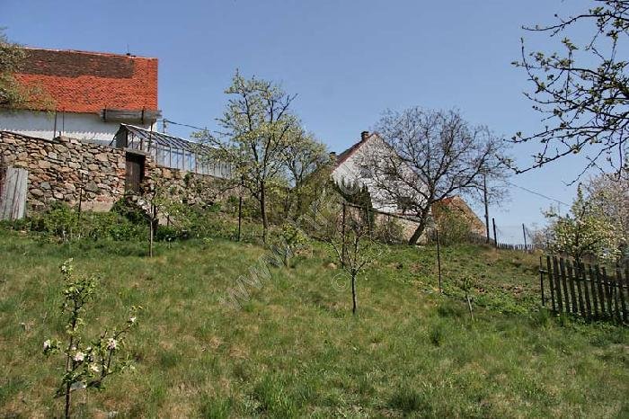 Čejkovy