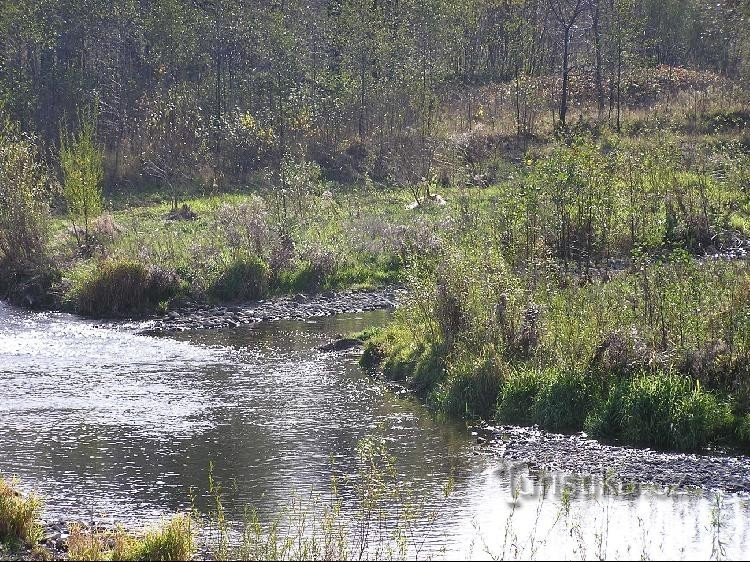 Čeladenka: Čeladenka - confluence with Ostravica