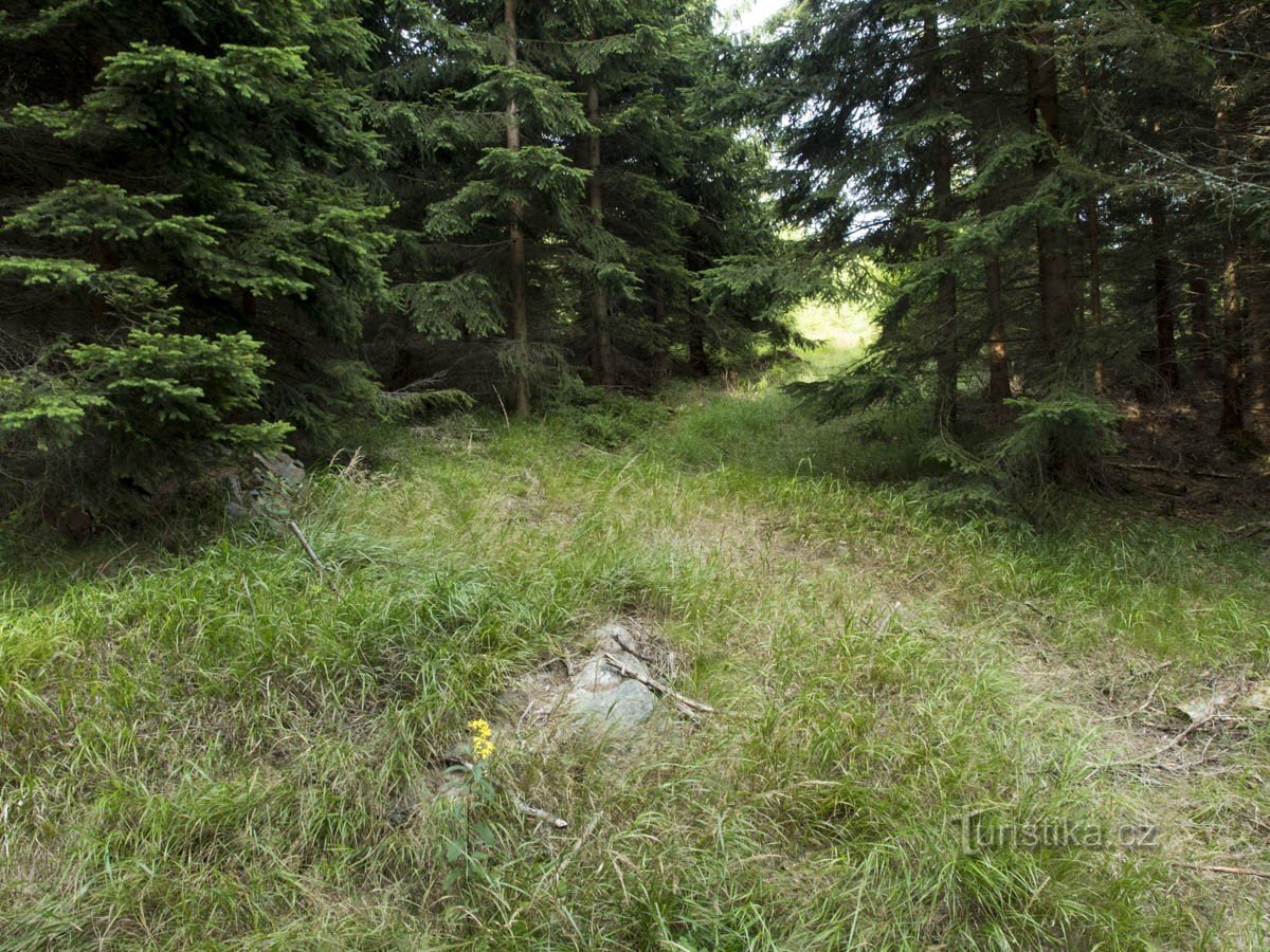 Quite a clear footpath