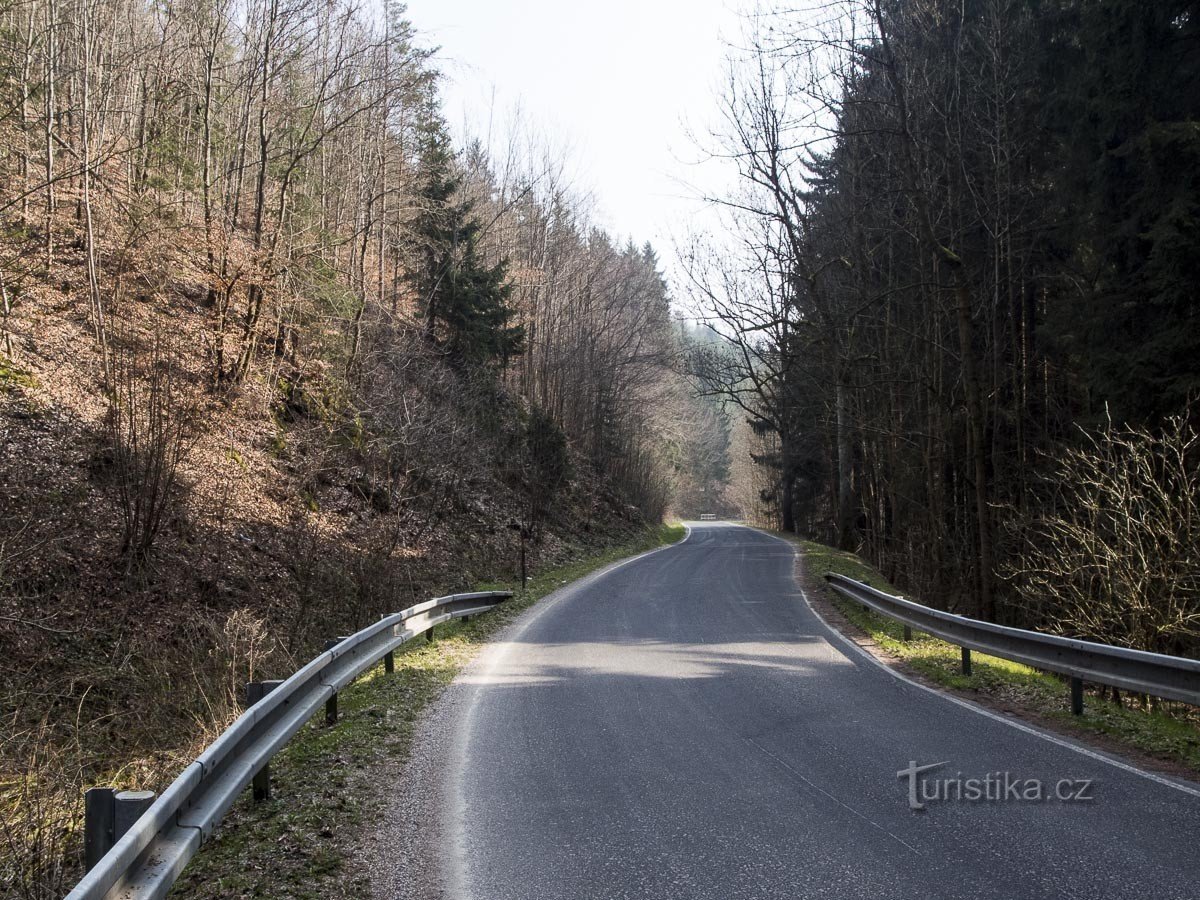 Un joli chemin à travers la forêt