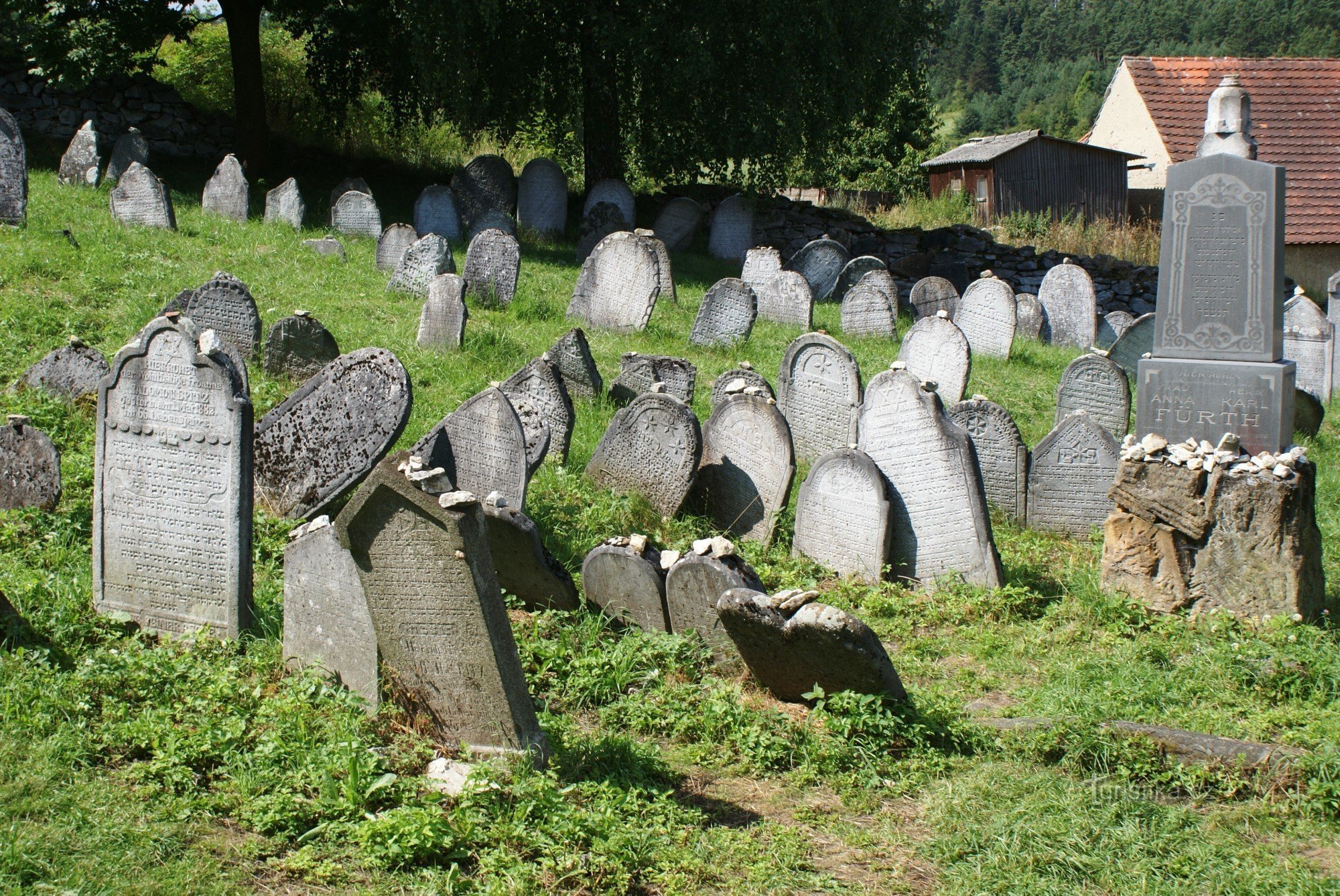 widok ogólny