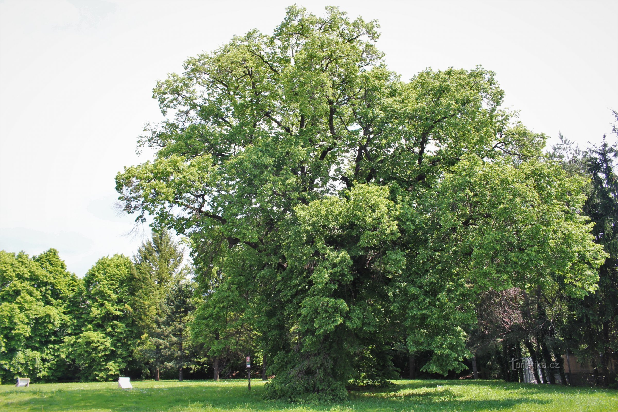 Widok ogólny