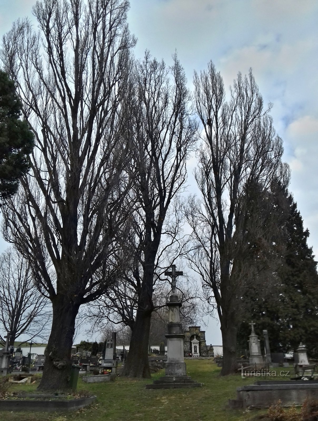 vedere generală a părții centrale a cimitirului