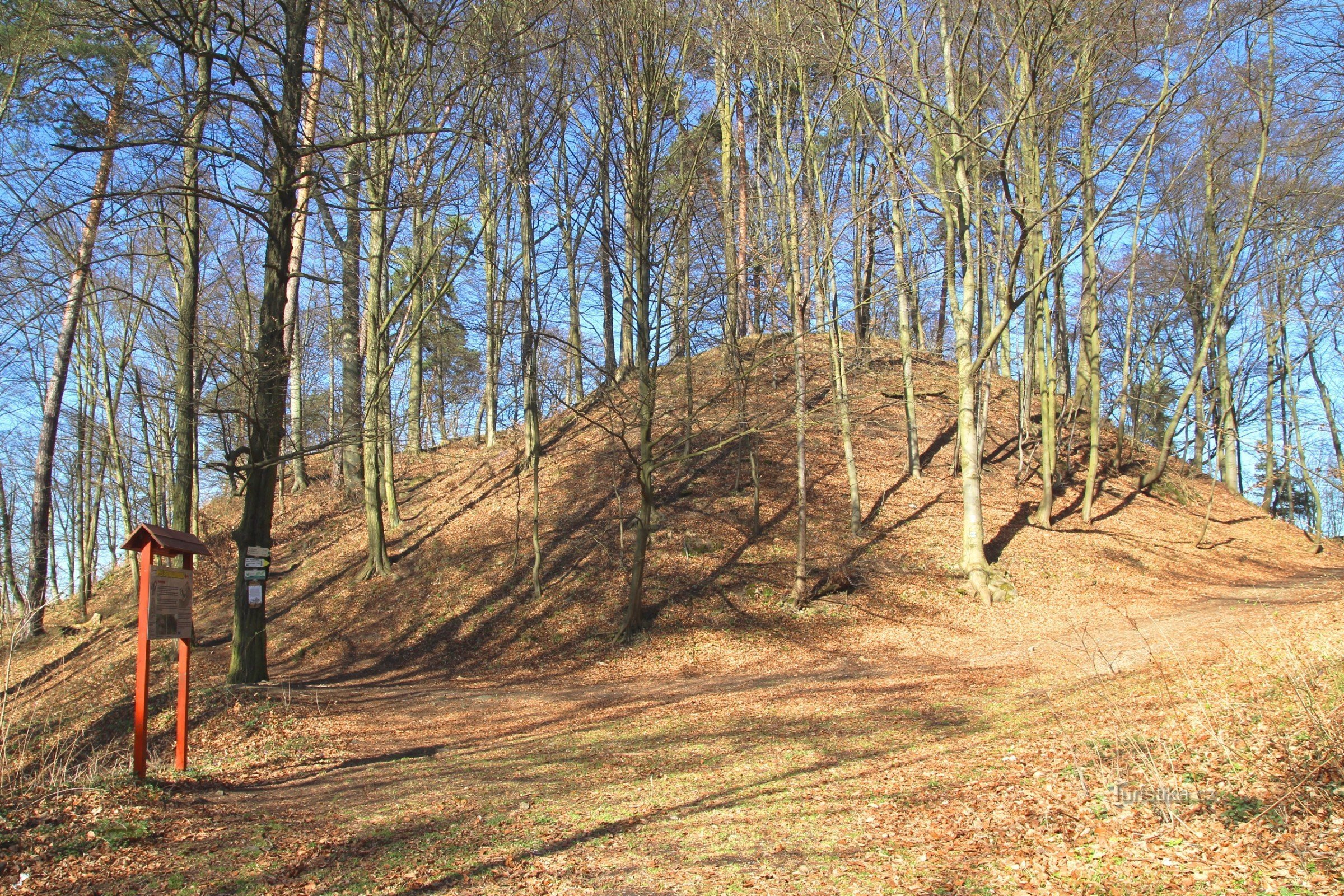 Celkový pohled na Hradní kopec od rozcestí