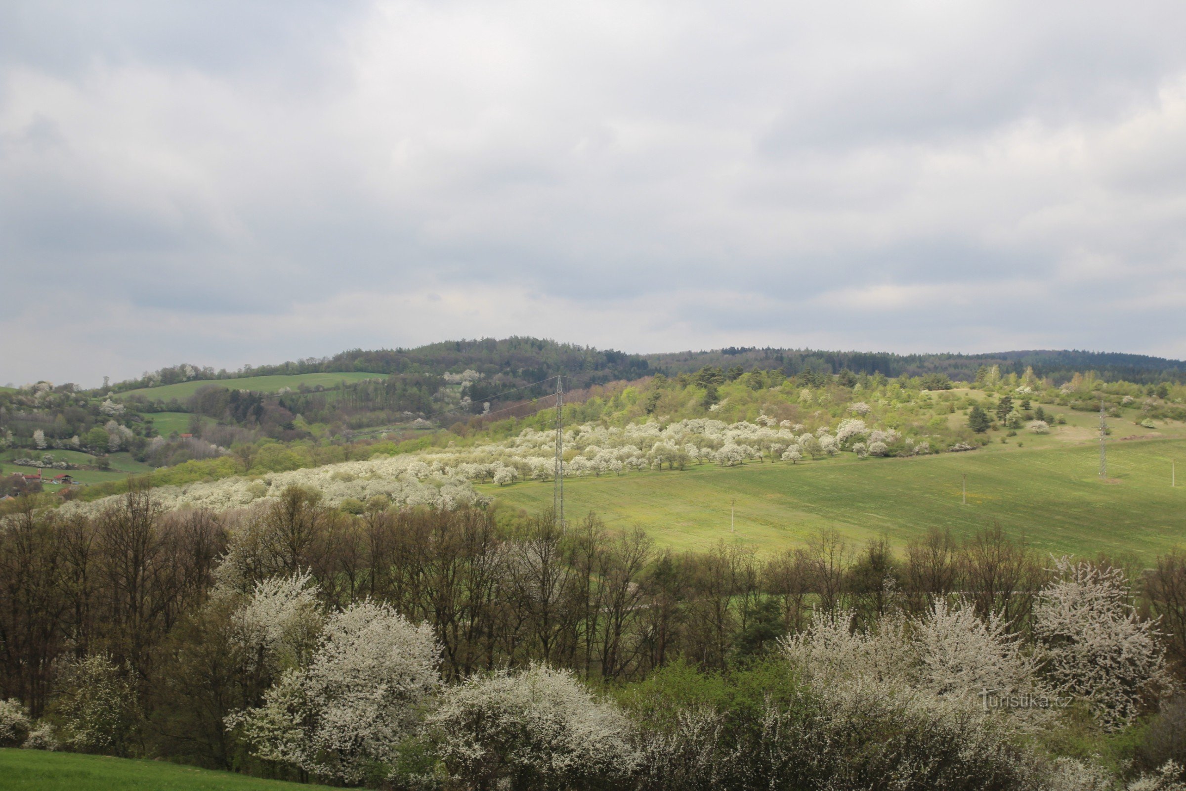 Vue générale de la crête de Svídovce