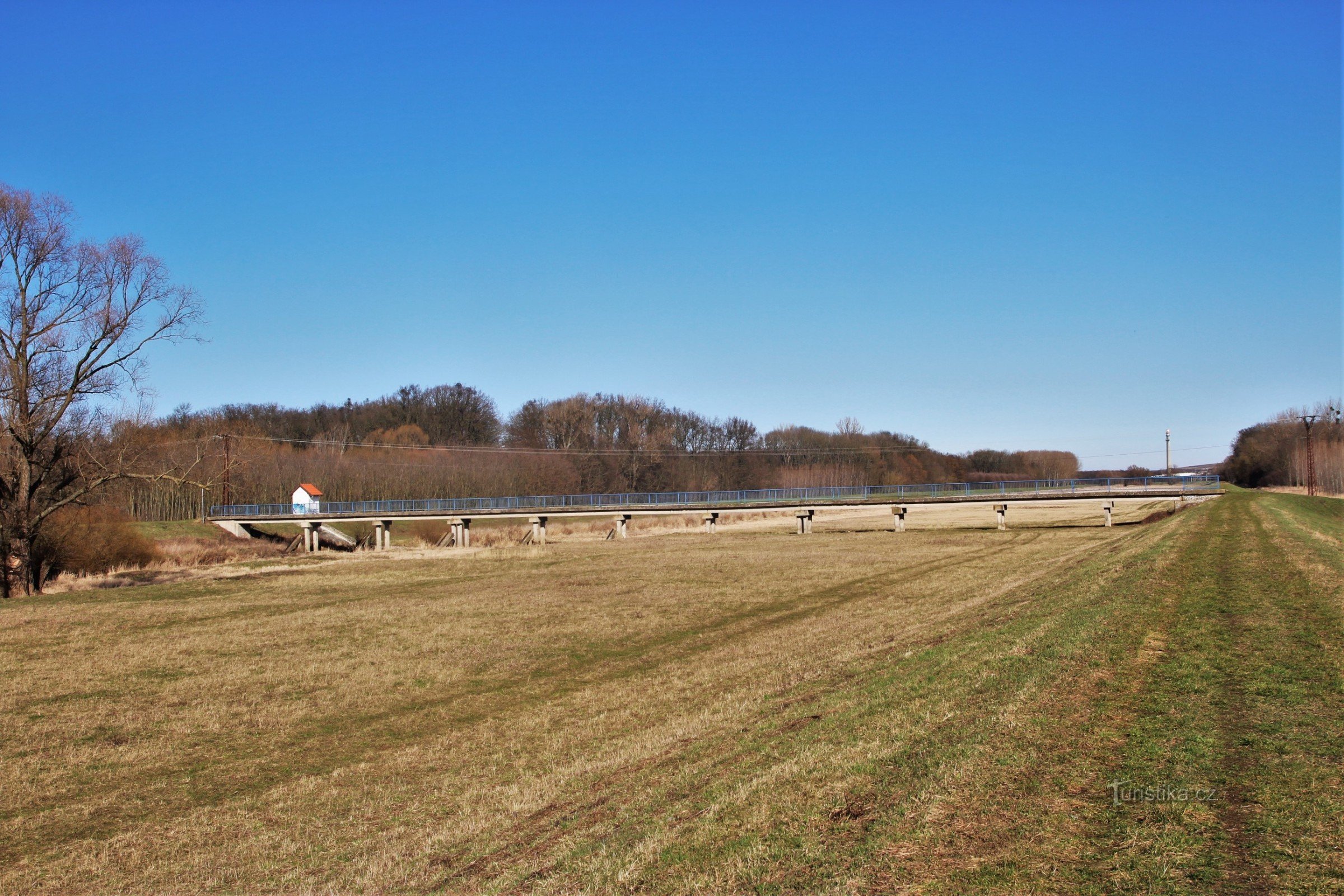 Algemeen beeld van de loopbrug en dalweiden langs de Dyje