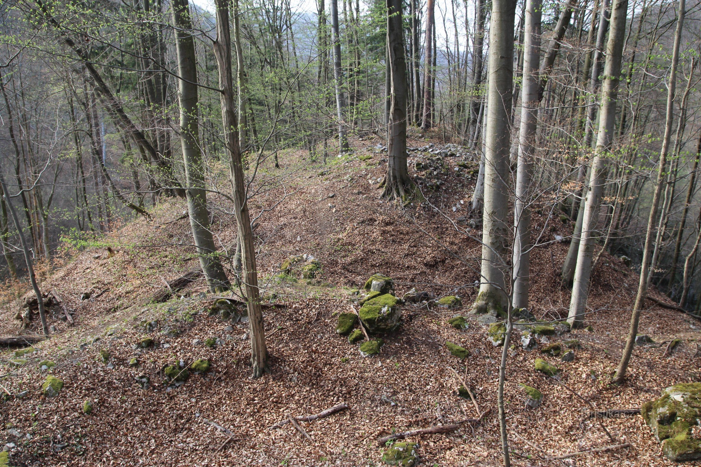 General view of the castle site