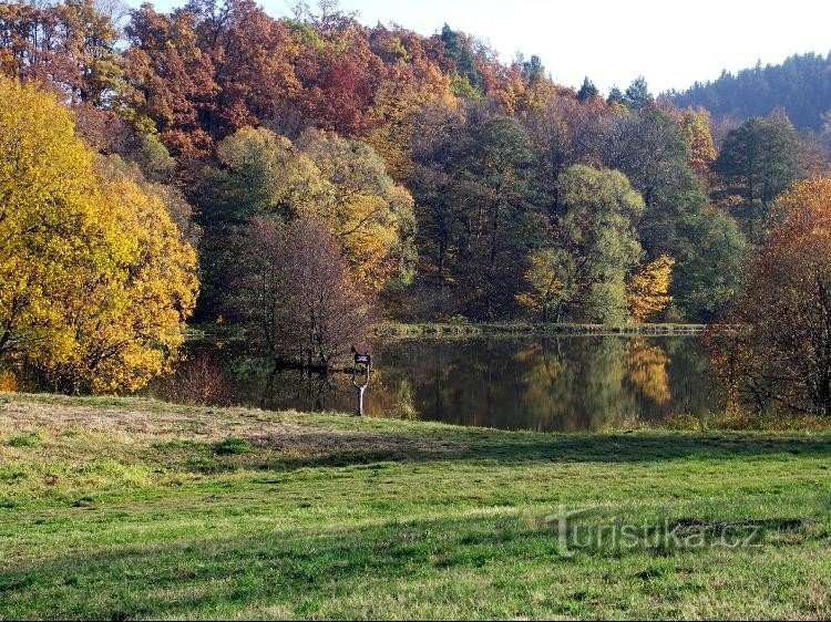 Vue générale de l'étang