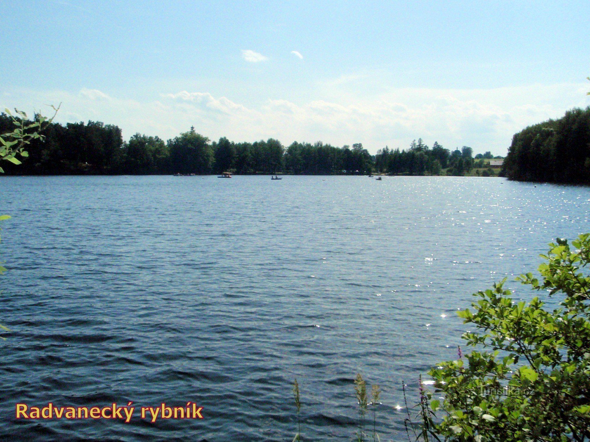 Ogólny widok na staw