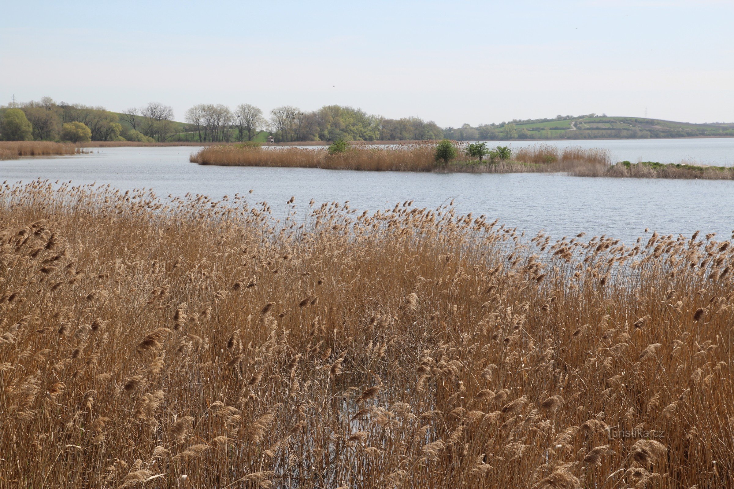 General view of the northern part of the pond