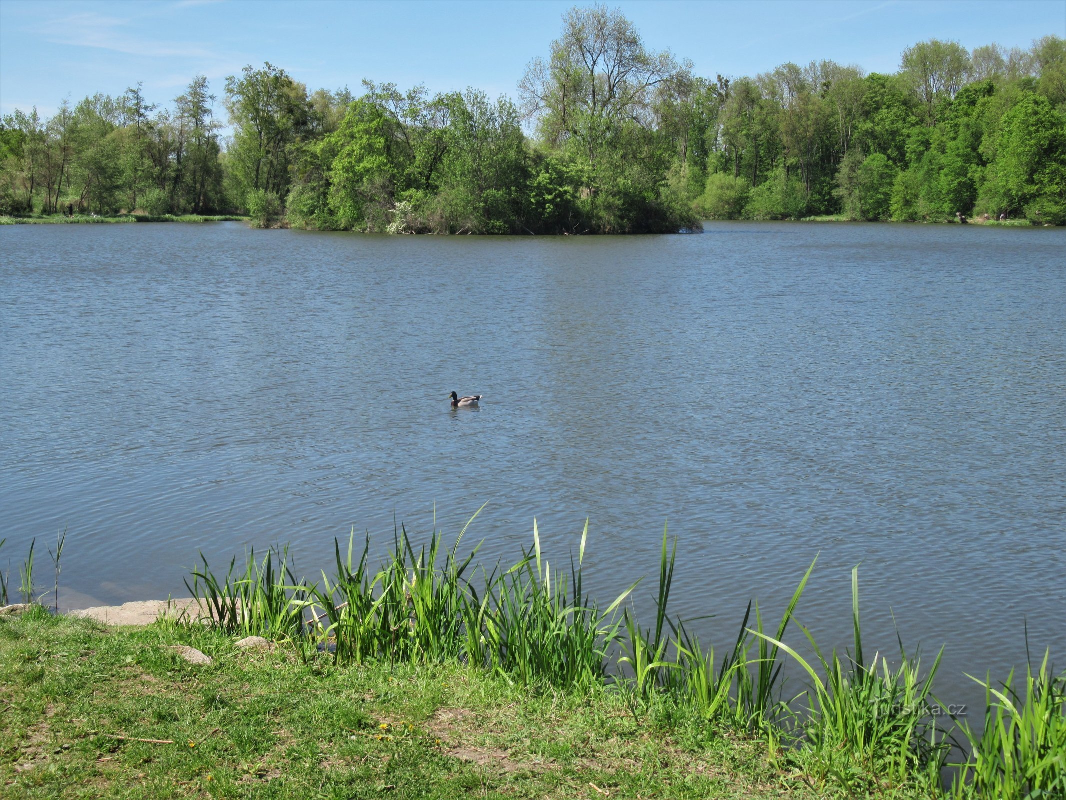 Gesamtansicht des Wasserbeckens