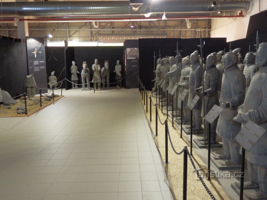 General view of the exhibited exhibits