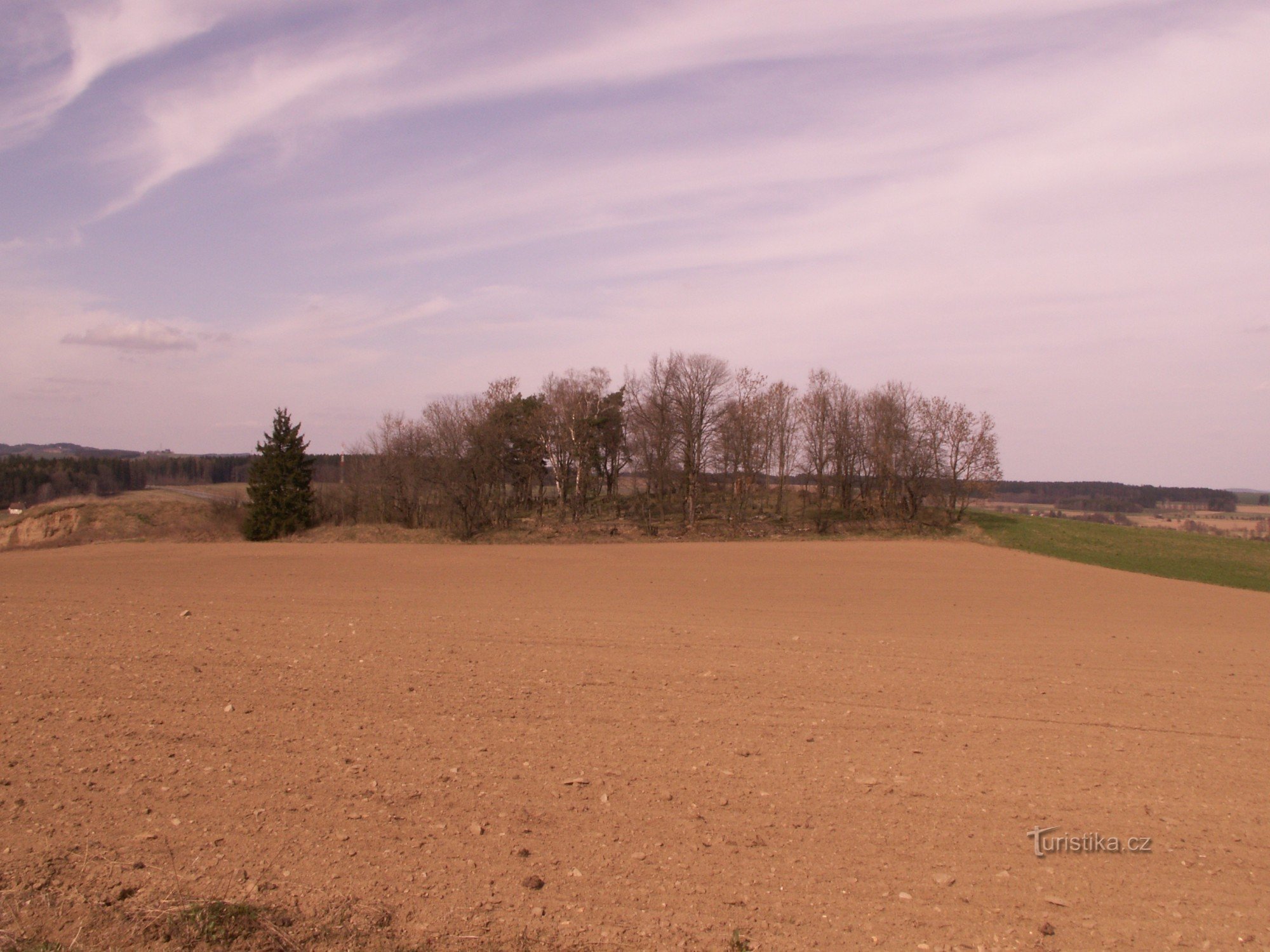 General view of the Prudice Jewish cemetery