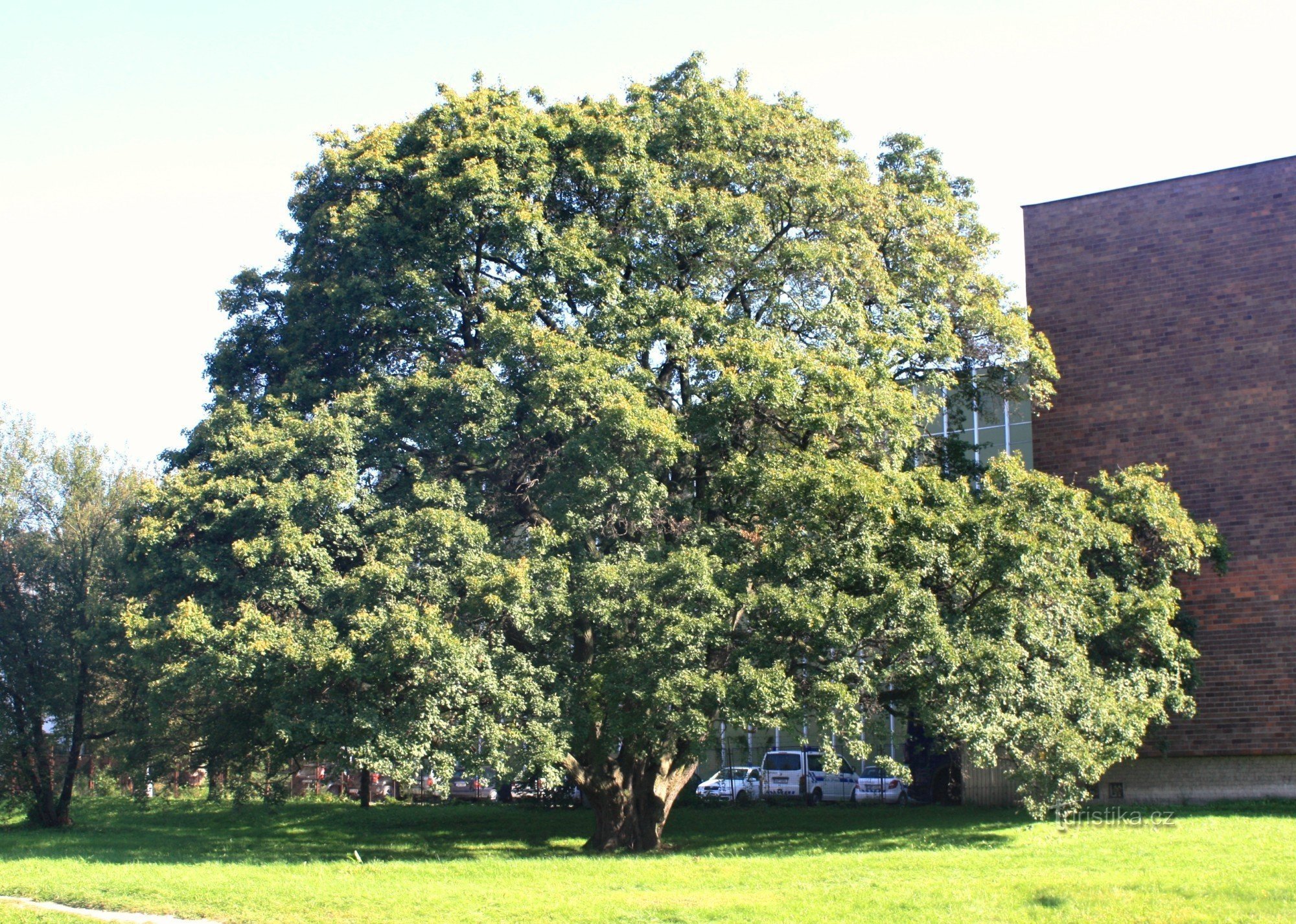 General view from the road