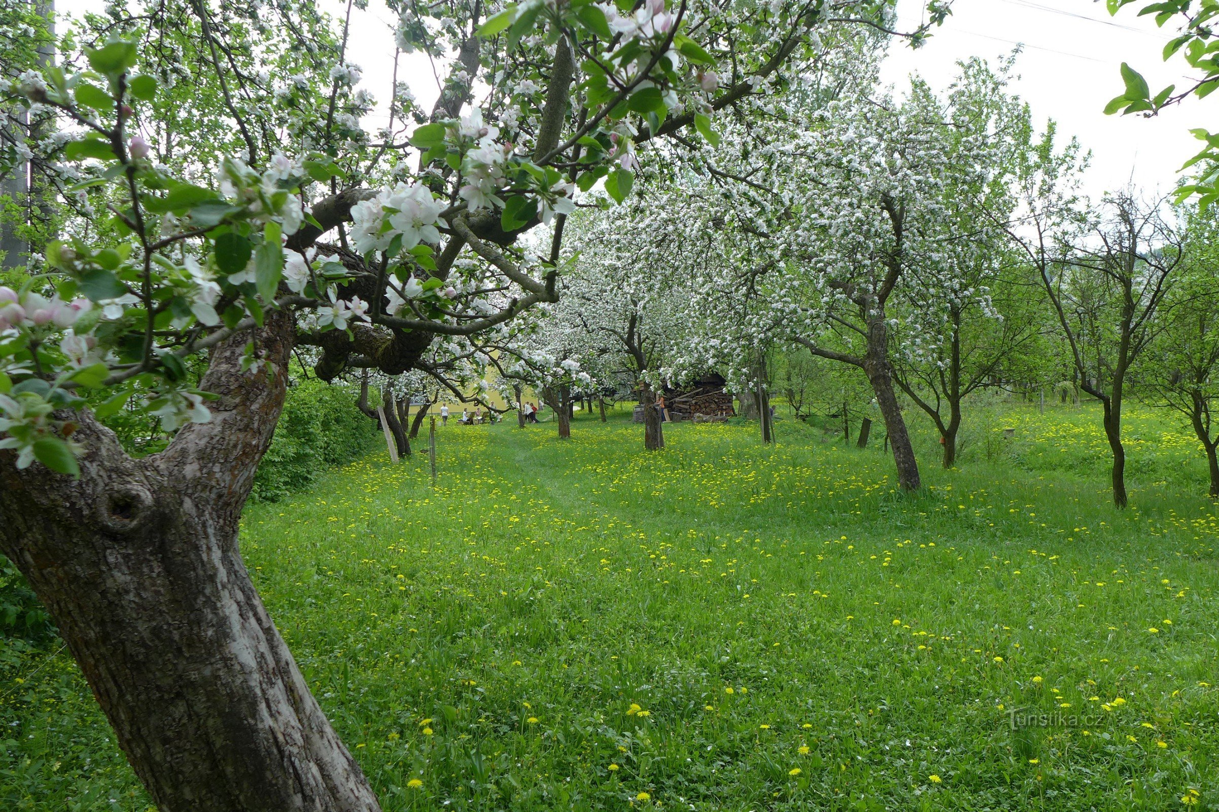 Centre Veronica Hostětín