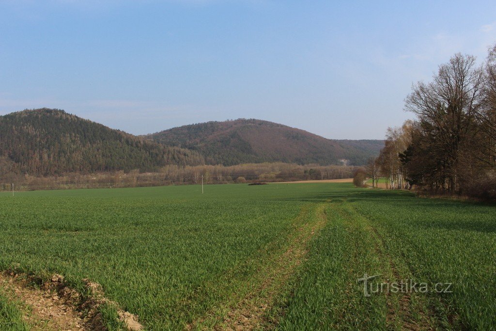 Cepičná iz Chmelná