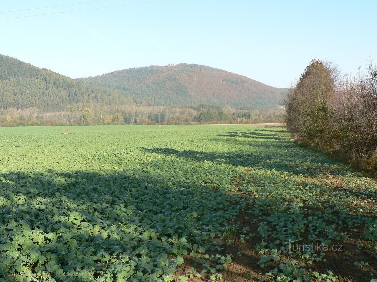 Cepičná de Velká Chmelná