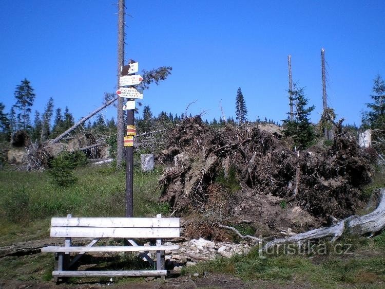 Montaña Negra.: Poste indicador en la cima.