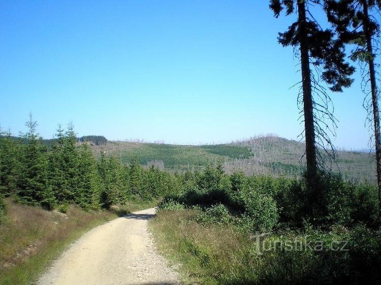 Černá hora.: From Černá hora to the source of the Vltava.