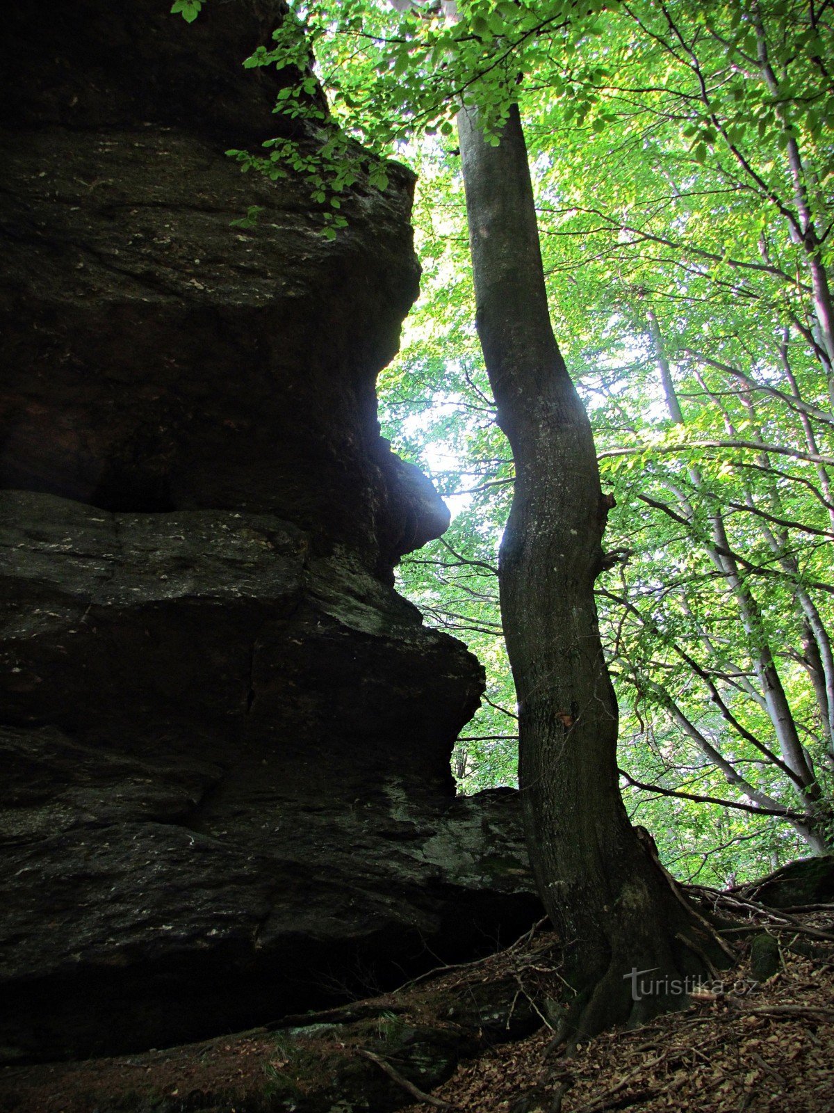 Black Side - Pulpit with a rock tunnel