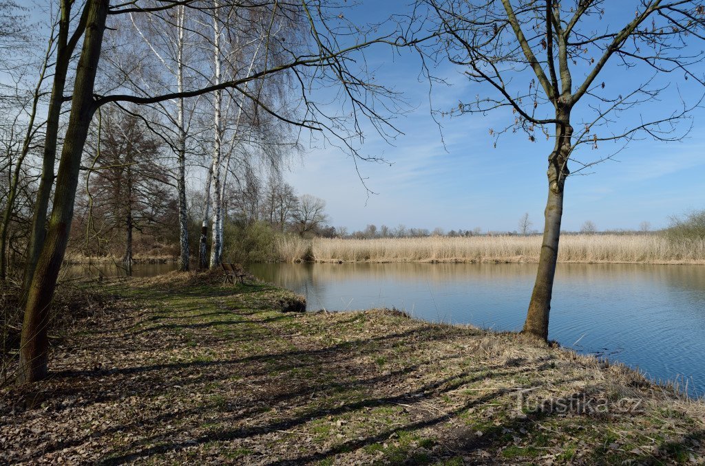 Zwarte stroom in de buurt van Staré Kolín