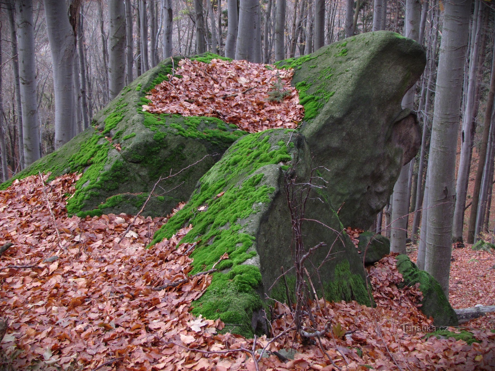 Čerňava - stijene iznad šumskog puta