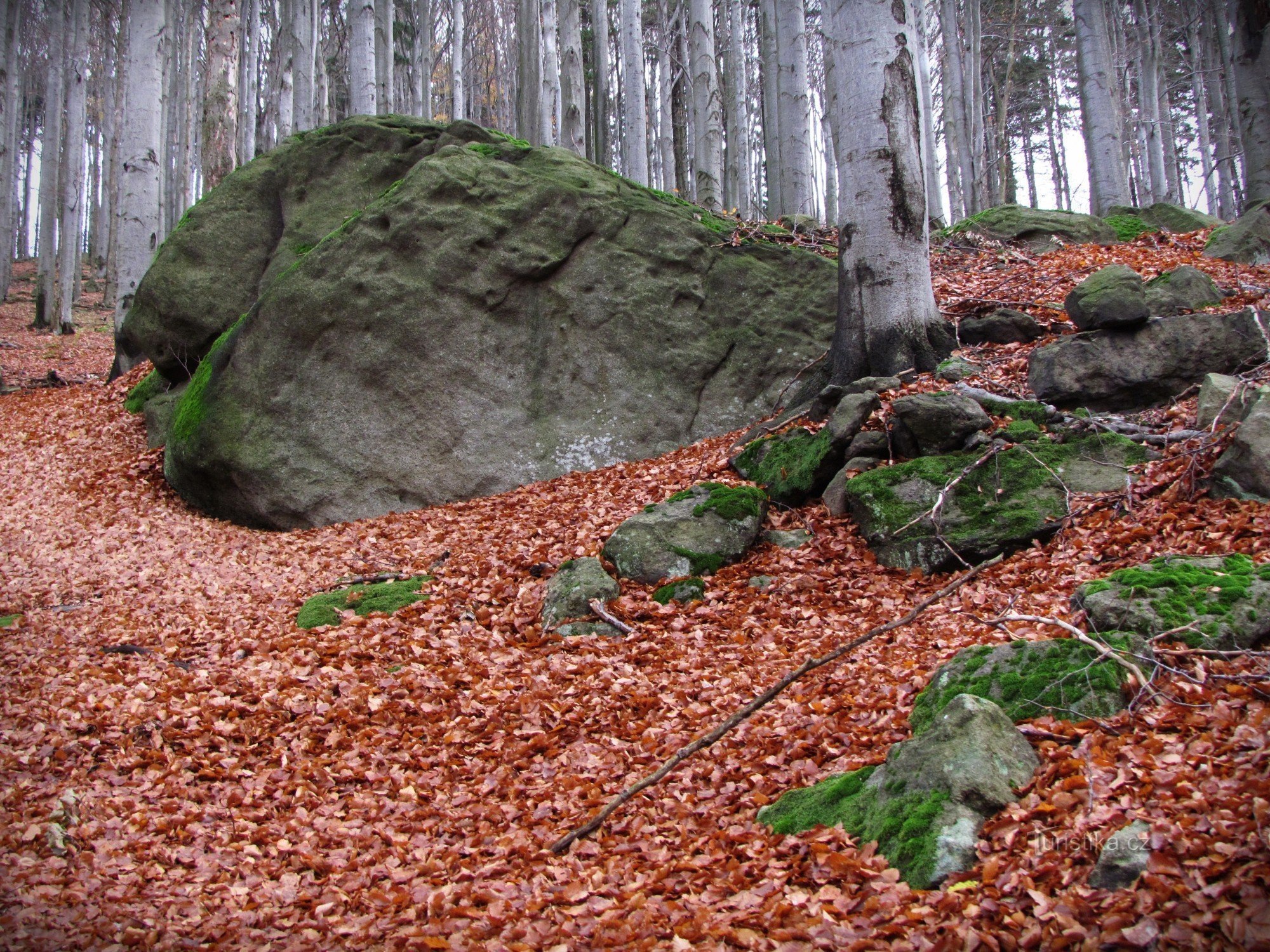 Čerňava - sziklák az erdei út felett
