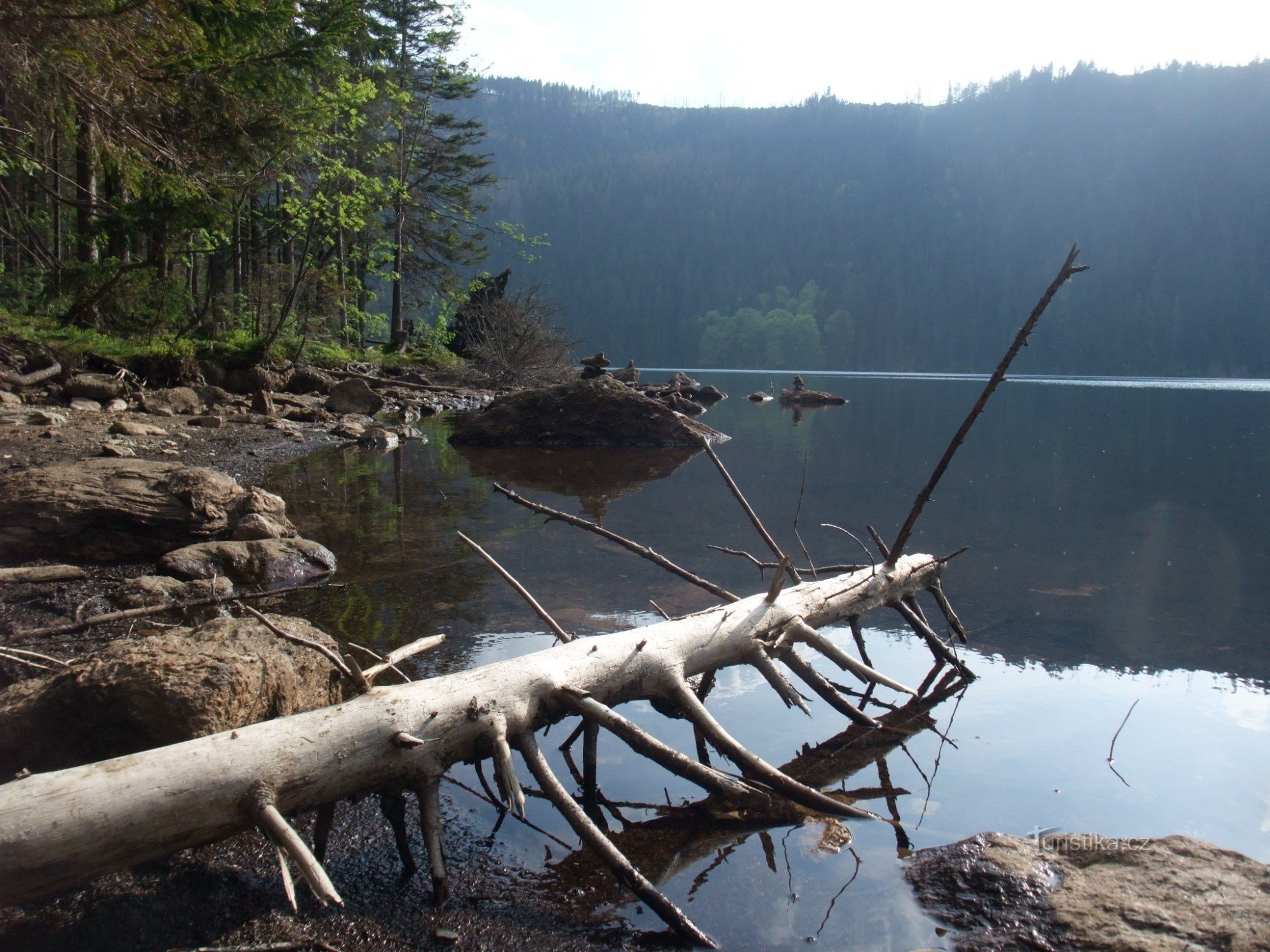 Črno jezero