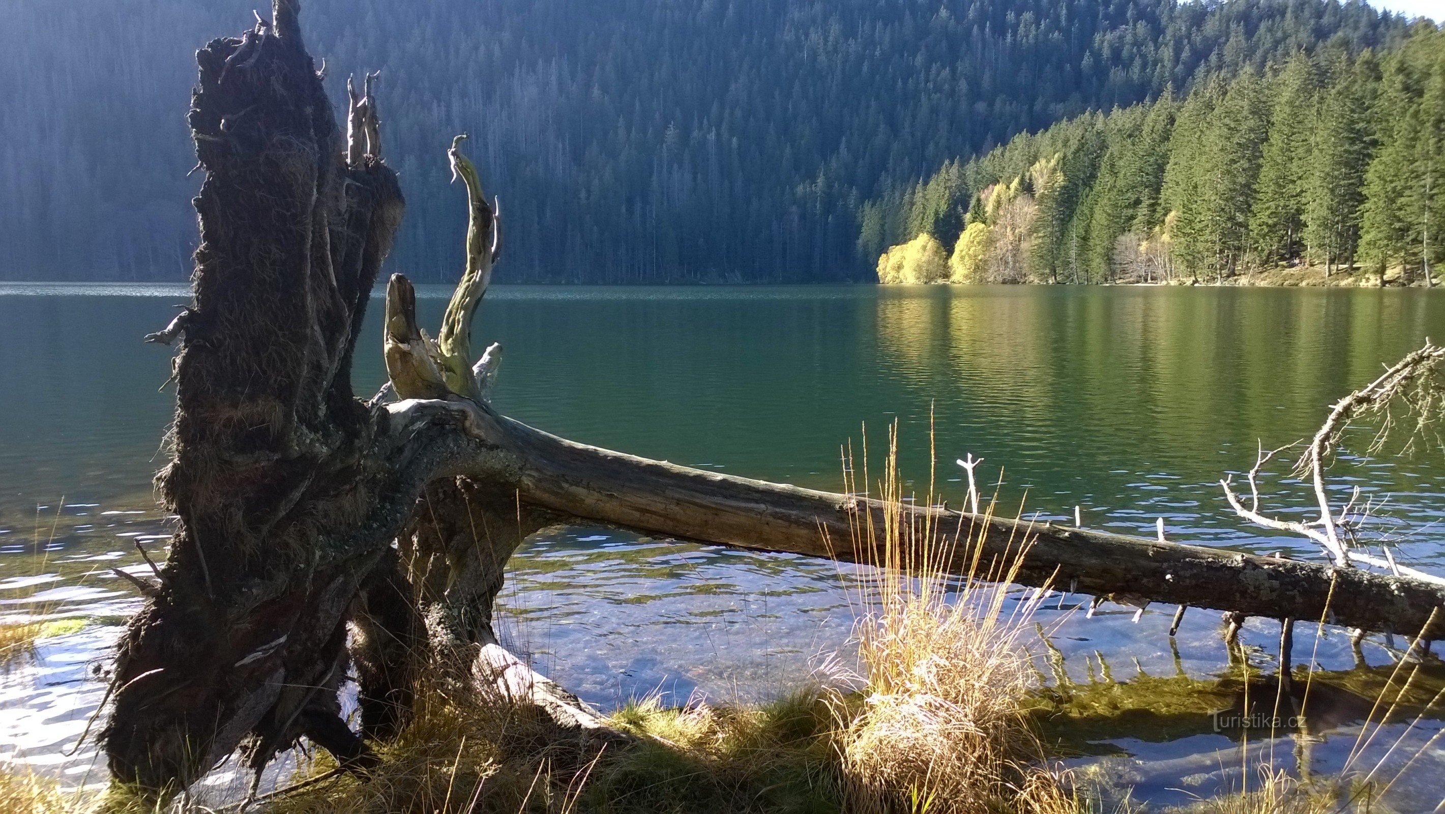 Schwarzer See.
