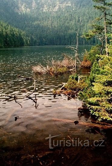 Lago Negro: na margem do Lago Negro