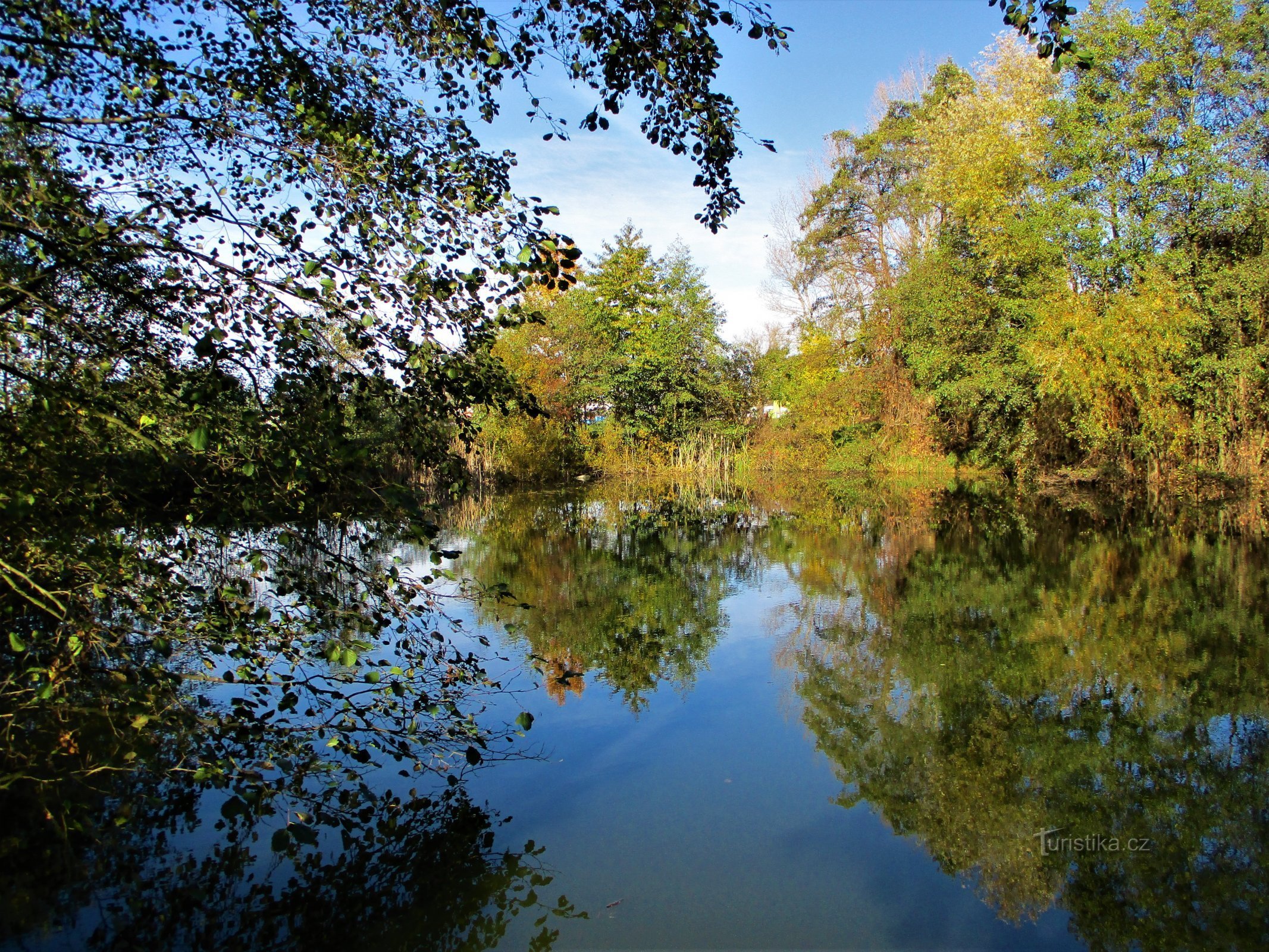 Lac noir près de la banlieue silésienne