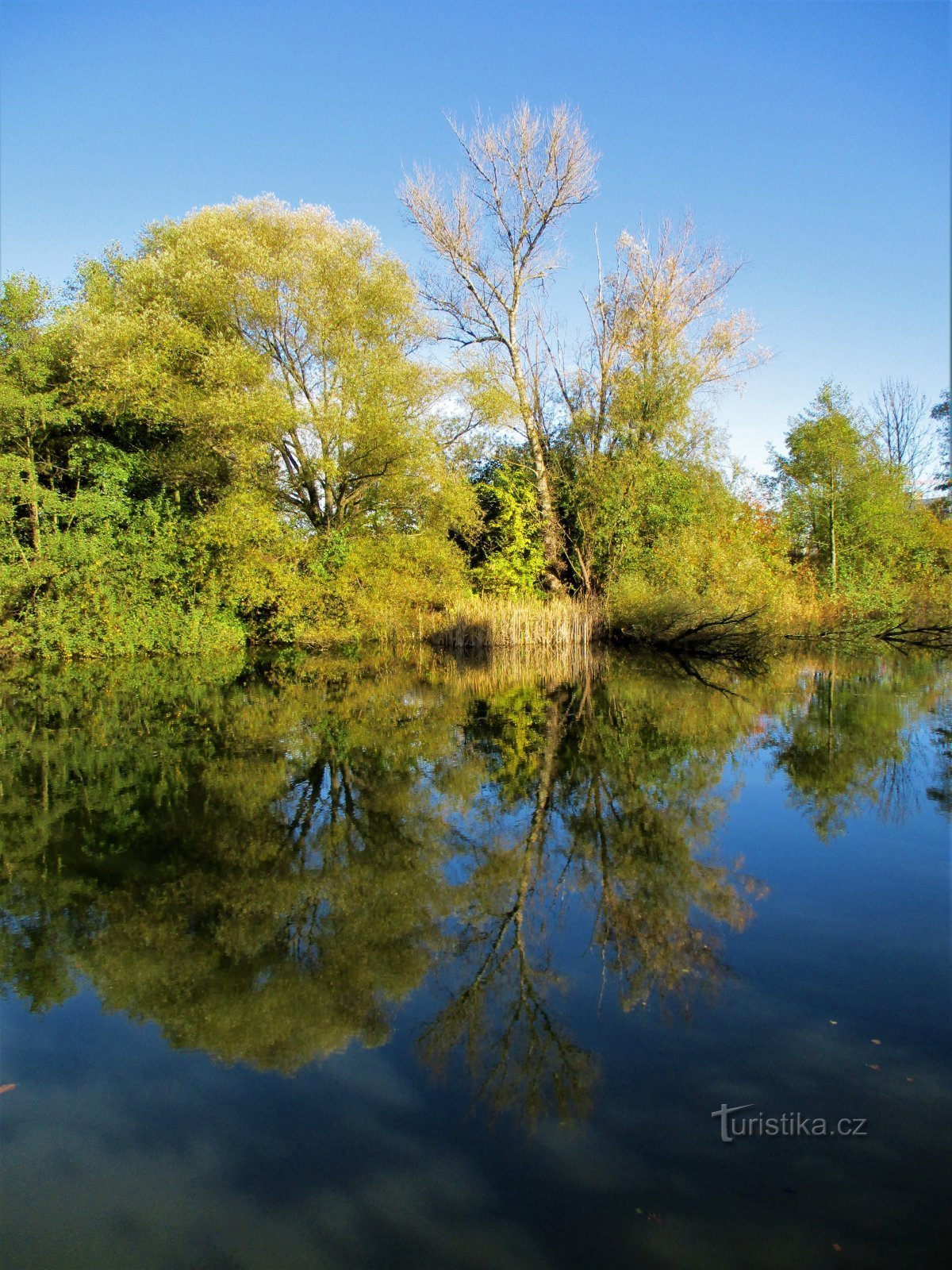 Lac noir près de la banlieue silésienne