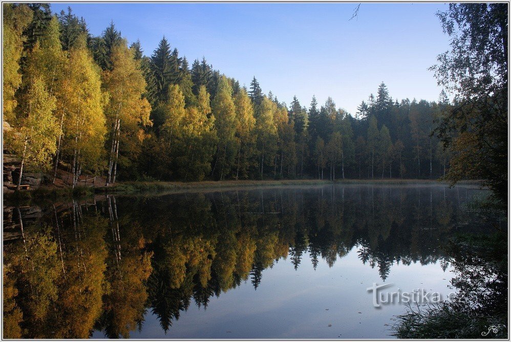 Black pond