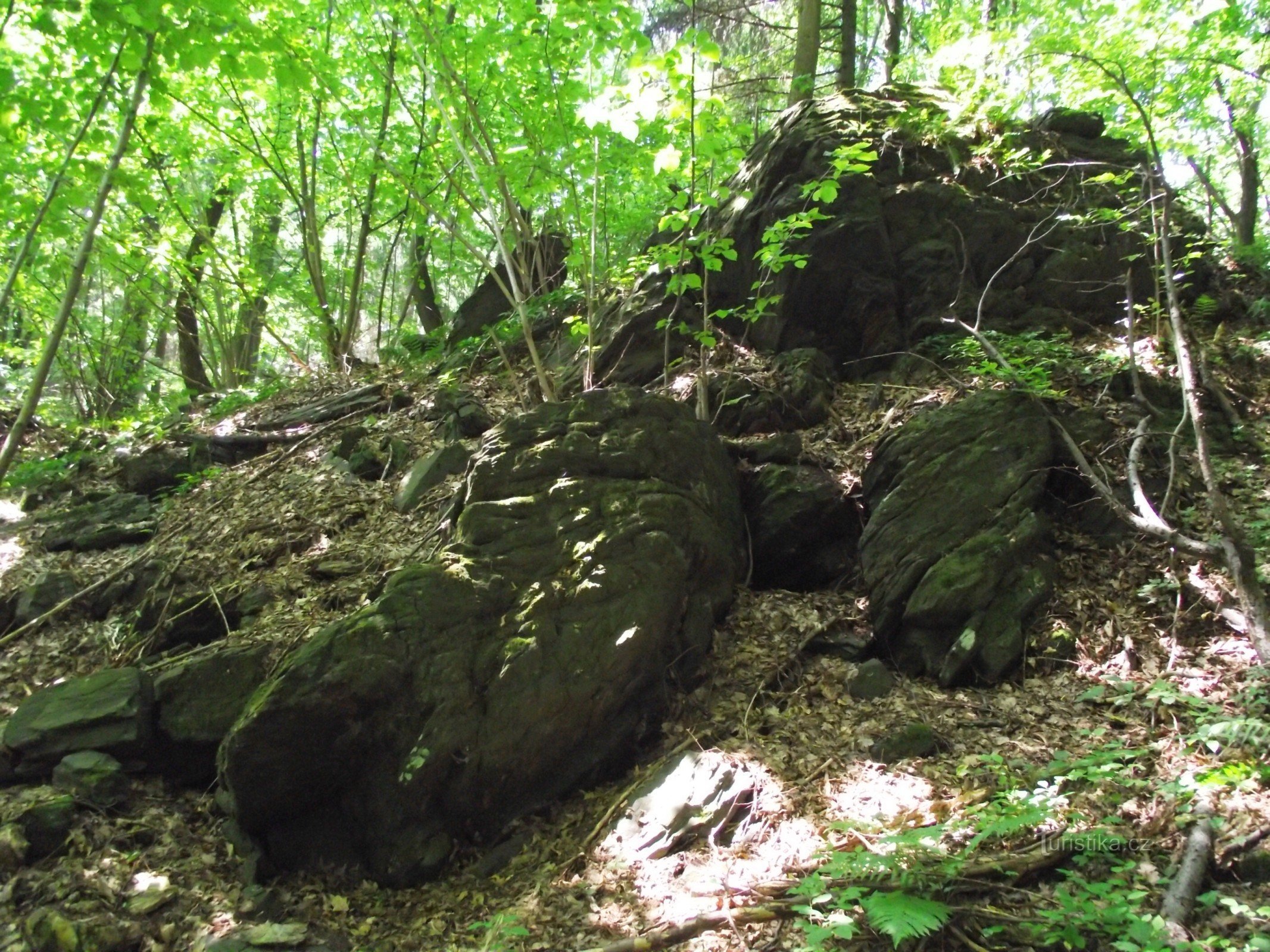 Schwarze Steine ​​(Felsen)