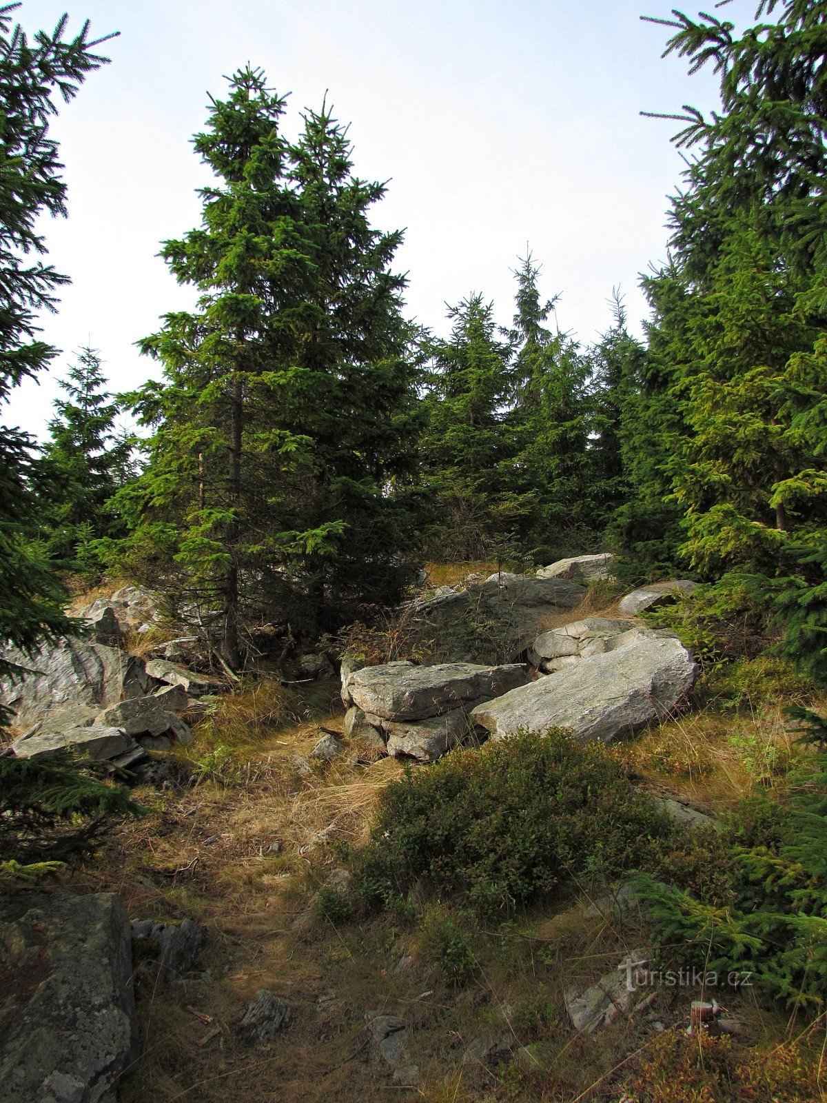 Schwarze Steine ​​- Aussichtsfelsen auf einer Höhe von 954 m