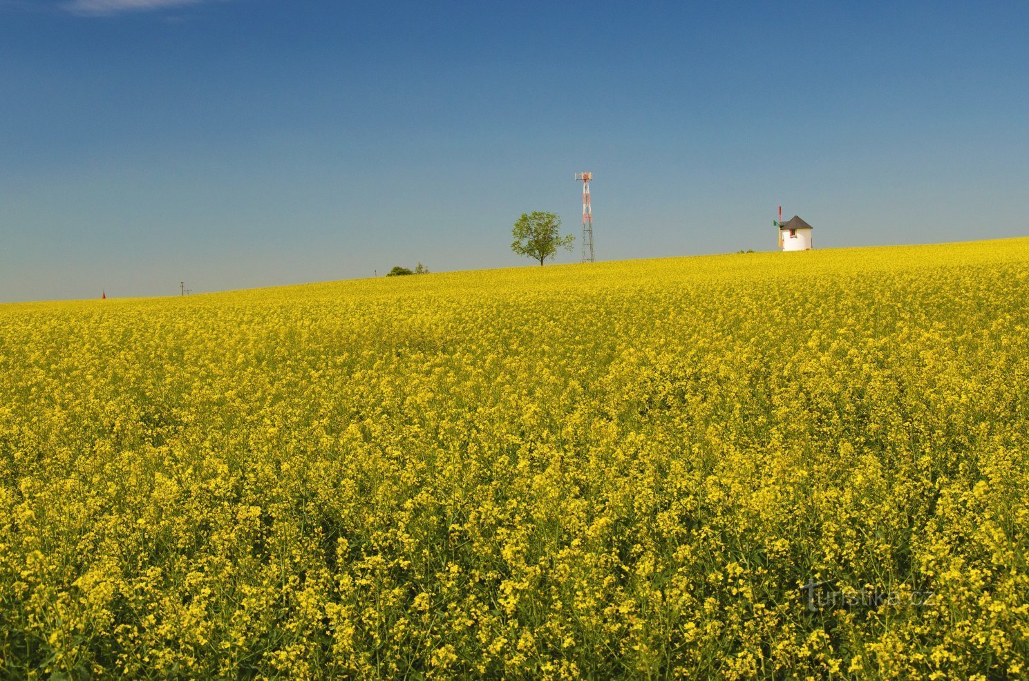 Moara de vant Cernilovsk vazuta dinspre sud, de pe drumul de pamant