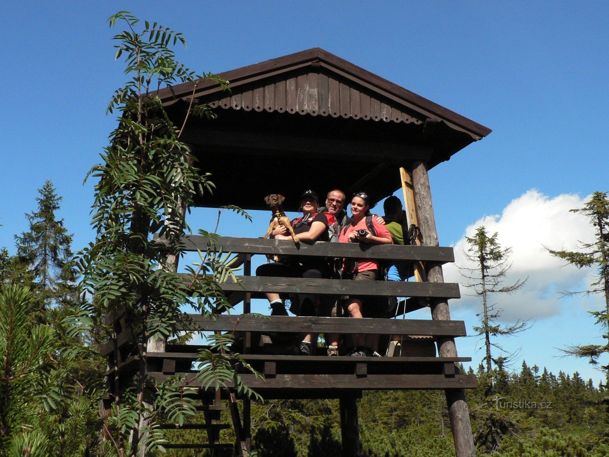 Veenmoeras Black Mountain - Black Mountain