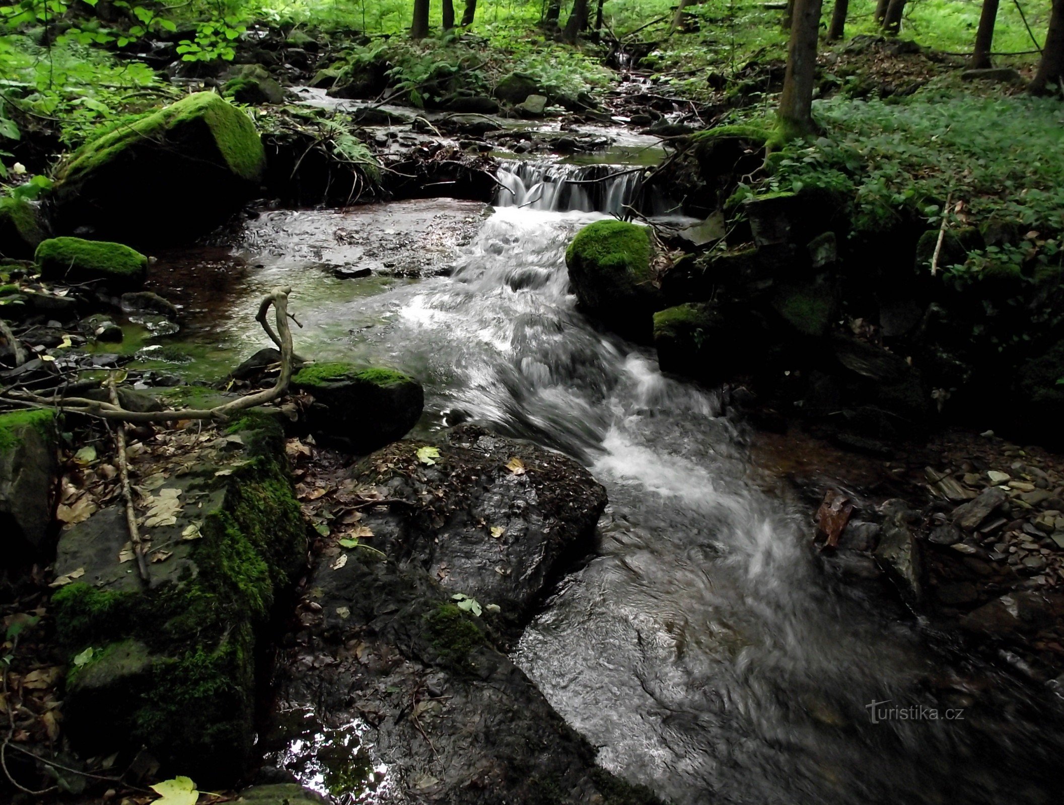 erňovick stream