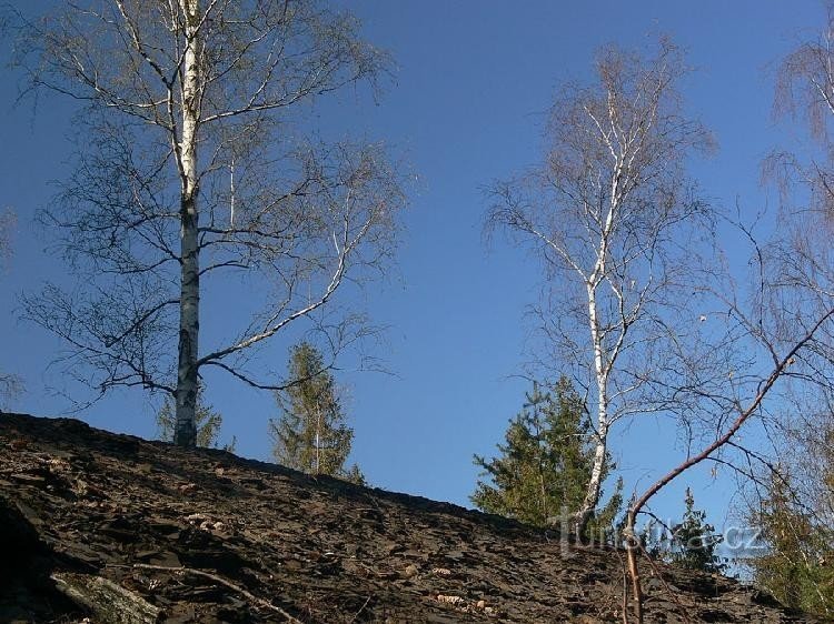 schwarze Mine: der Hang einer Schieferdeponie