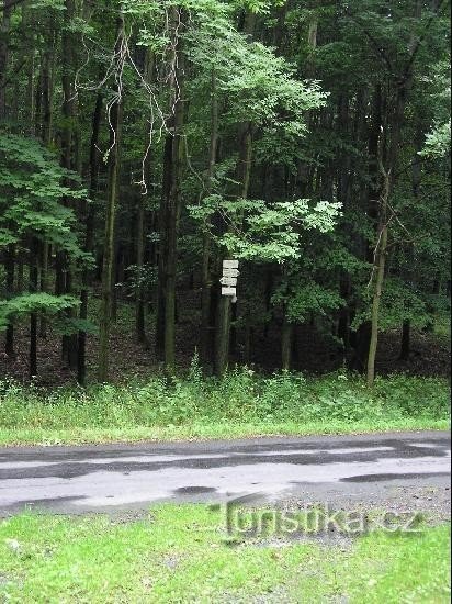 Black Forest: Black Forest - Crossroads