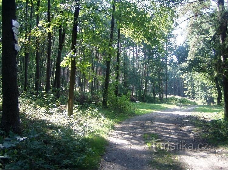 Μέλανα Δρυμός: Διαδρομή Lichnov Milotice nad Opavou