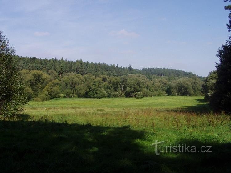 Černý les : prairies au bord de la rivière Čižina à environ 50 m du panneau