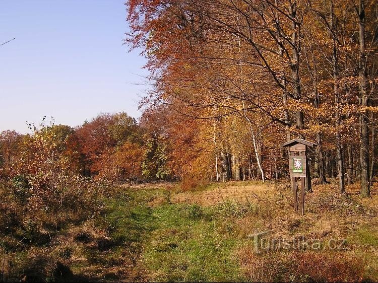 Черный лес у Шилгеровице I: Черный лес у Шилгержовице I