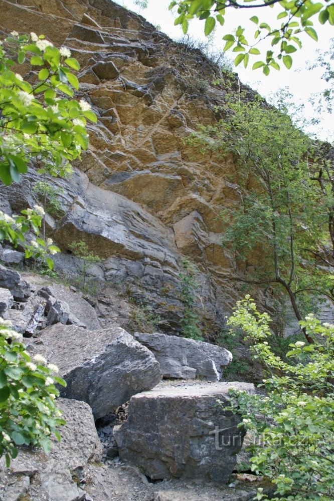 Černý lom oder Kamtschatka am Bach Dalejska (Prag – Holyně)