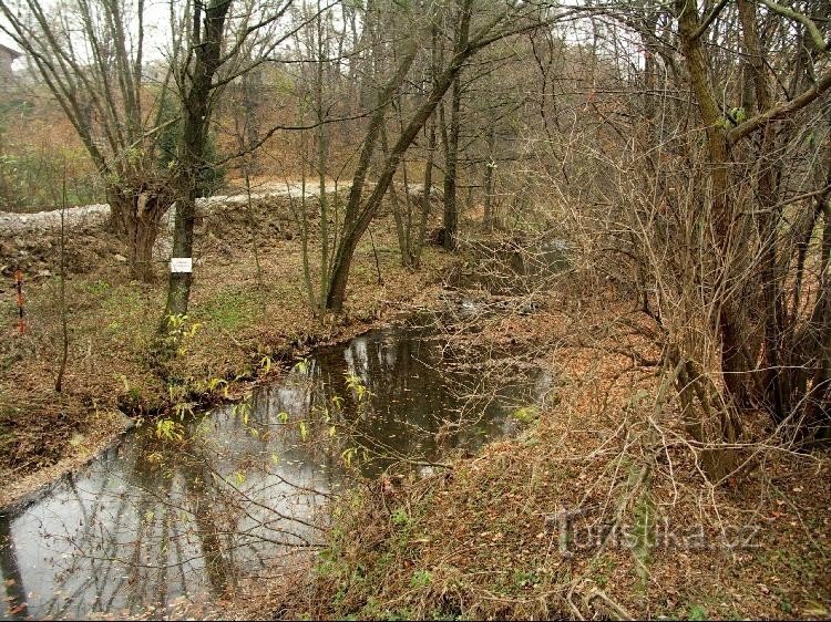 Černý potok ở Tránovice