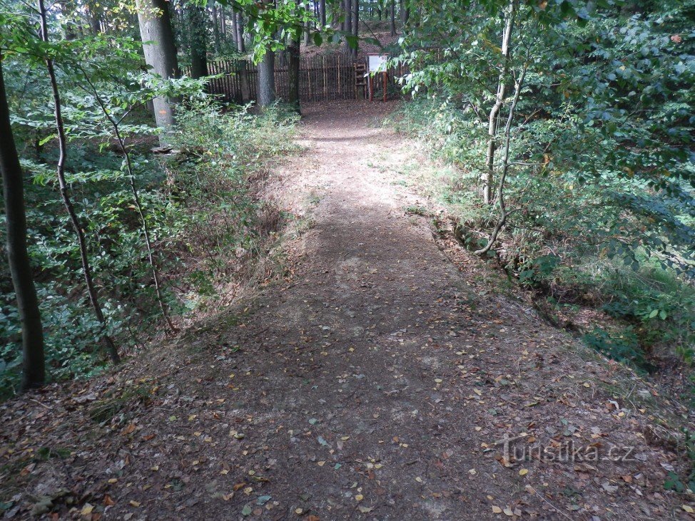 Passerelle du diable regardant vers la réserve naturelle